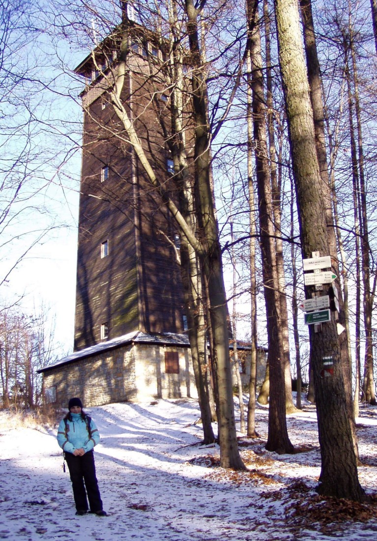 P2160015.jpg
